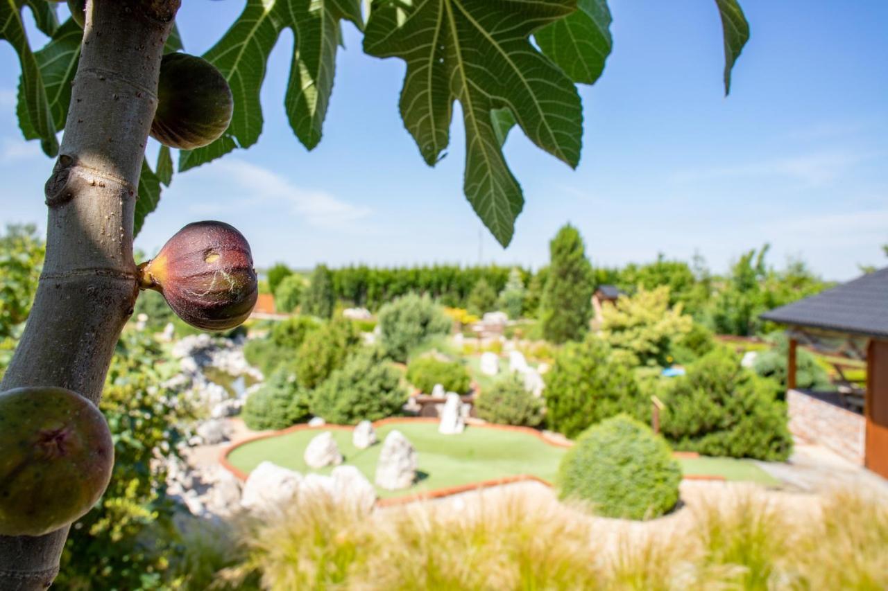 Amenity Penzion Горни-Вестонице Экстерьер фото